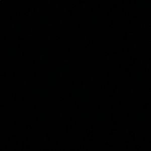 Meet your Posher, Raven